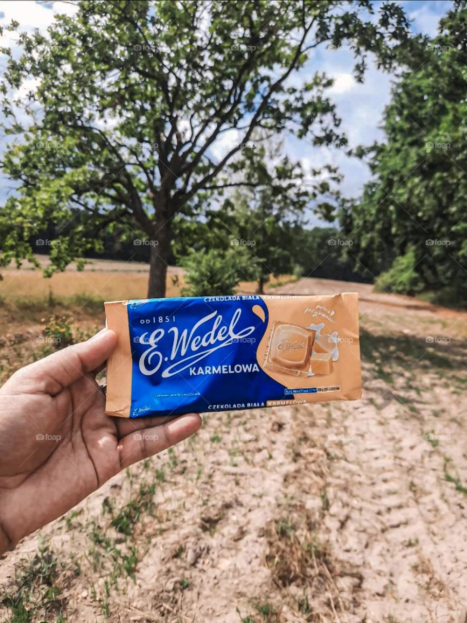 Advertising Of Caramel Delight: E. Wedel Chocolate Bar in Nature's Embrace