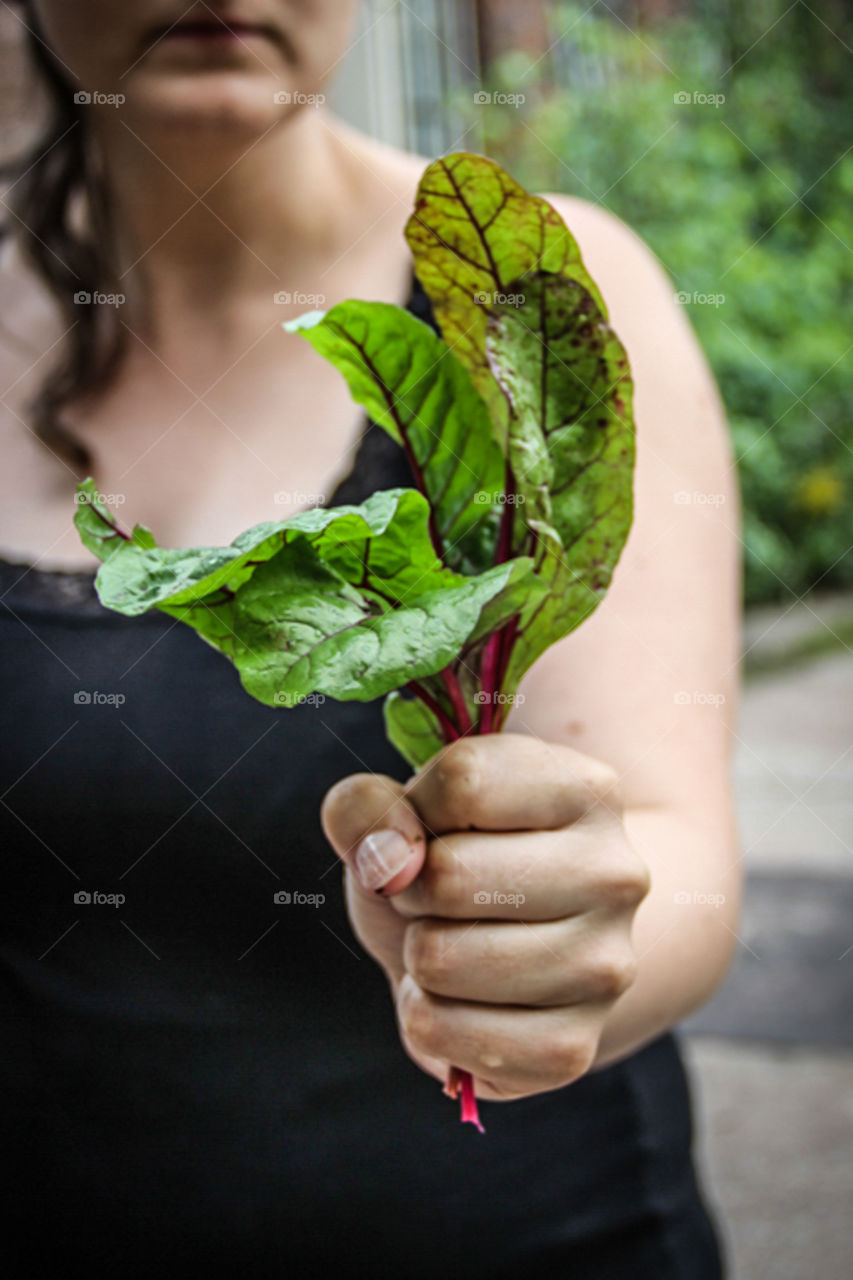 Young beetroot