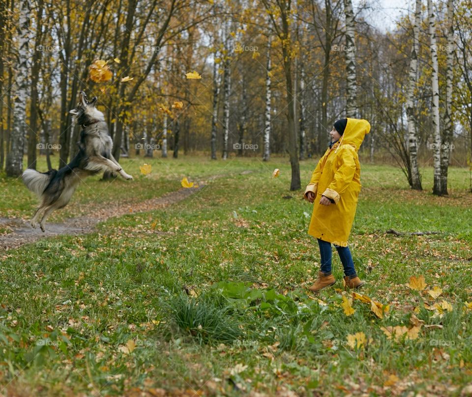 dog jumping for leaves