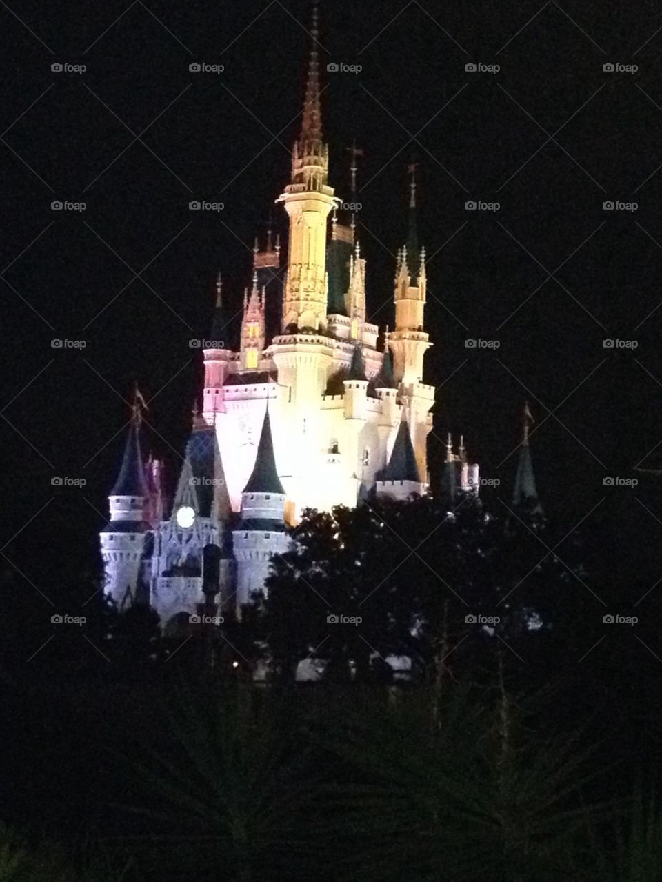 Magic kingdom 