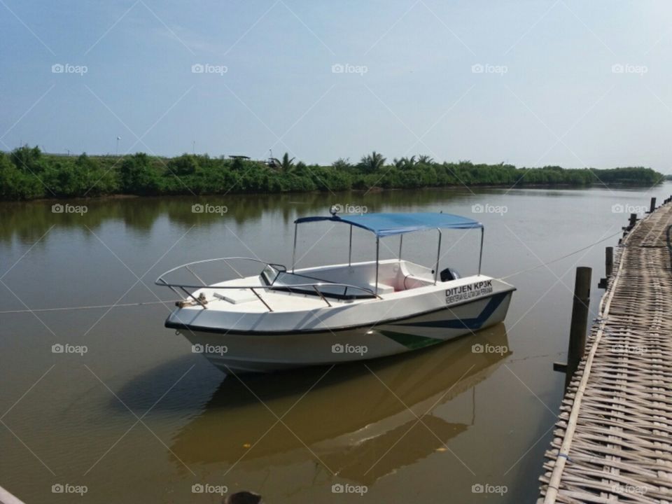 boat in mangrove forest