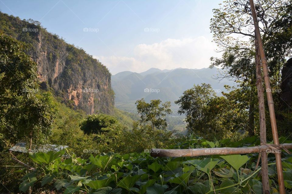 On the mountain at Pyin-Oo-Lwin district. Rain forest 