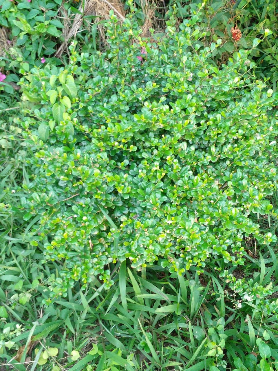 Màu xanh tuyệt đẹp