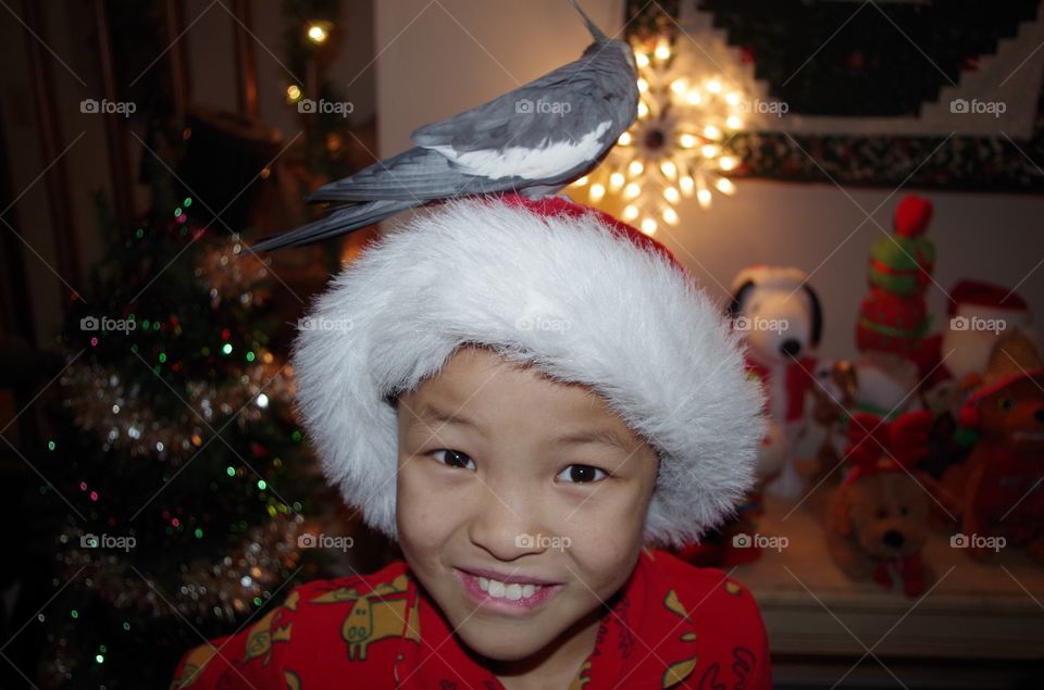 Bird on a child's head