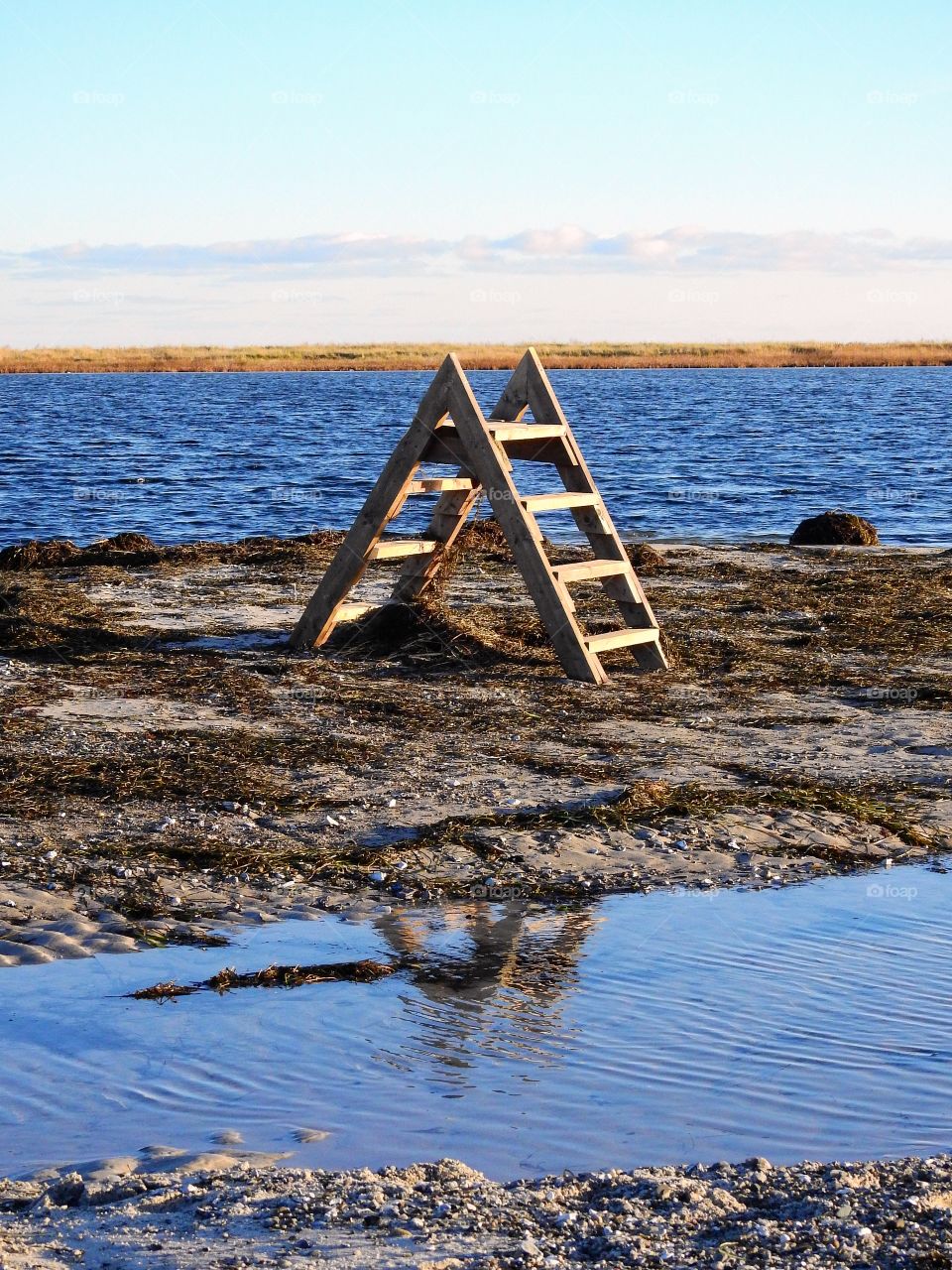 Wooden steps