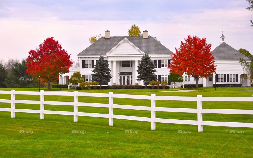 Million Dollar Homes. Gorgeous White House during the Fall with two trees adorning a deep wine color foliage. 
Zazzle.com/Fleetphoto 