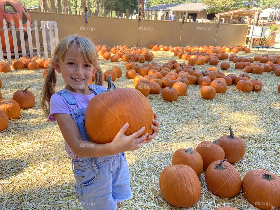 Cutest little girl picked out her favorite pumpkin in the patch! 