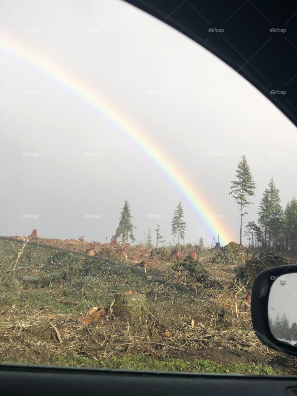 Found the end of the rainbow in forks 