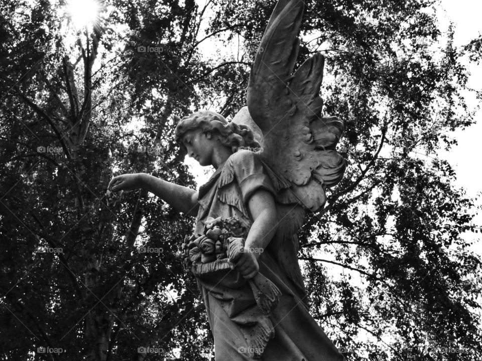 Angel statue in Glasnevin Cemetery, Dublin Ireland. 