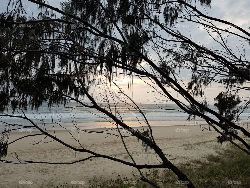 Coastline view from the beach path