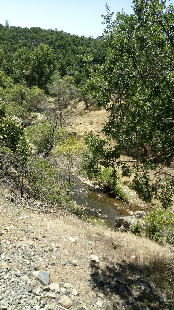 outdoors with nature