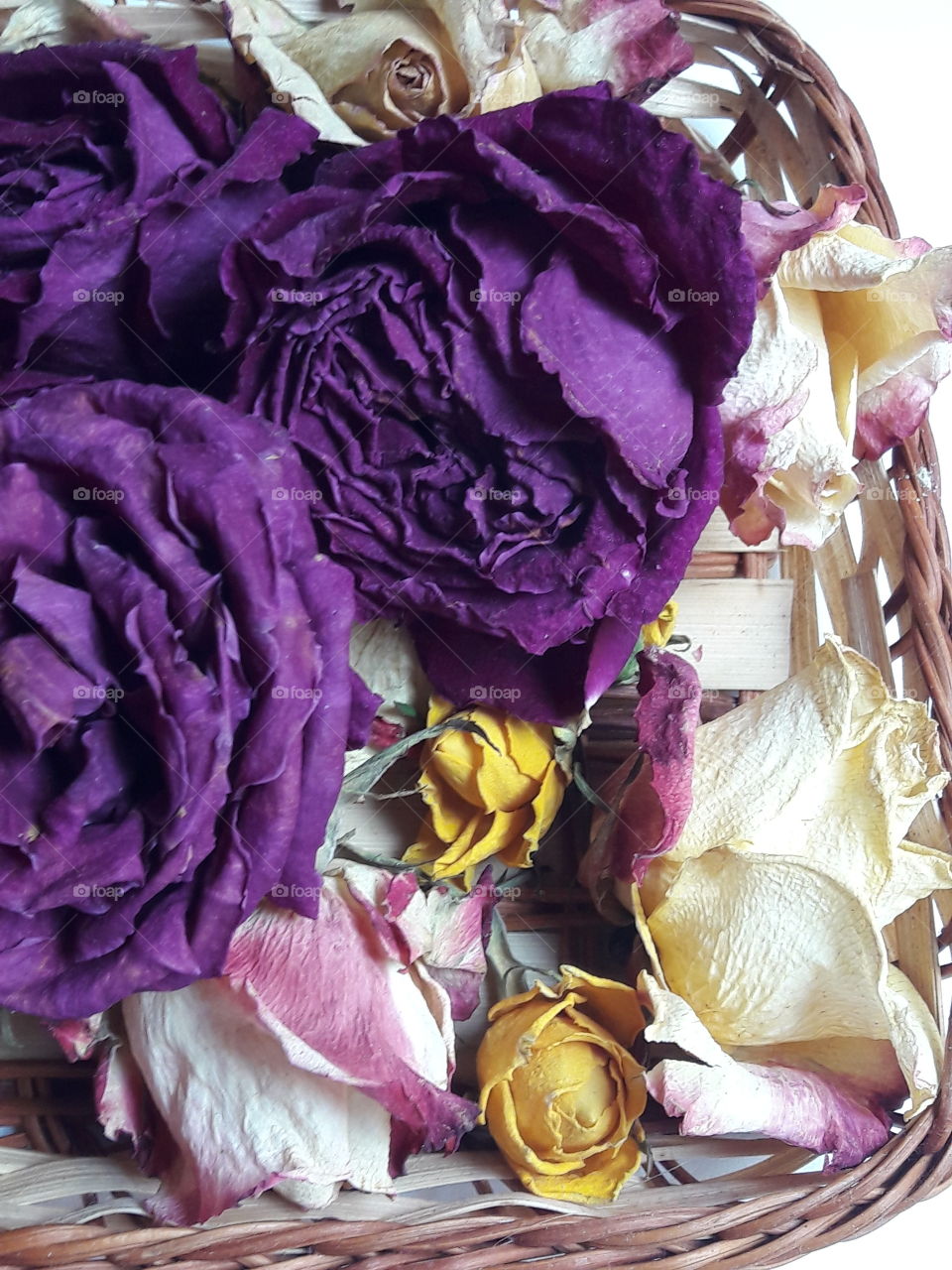 perfect imperfections