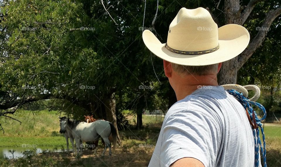 Cowboy Watching His Horses