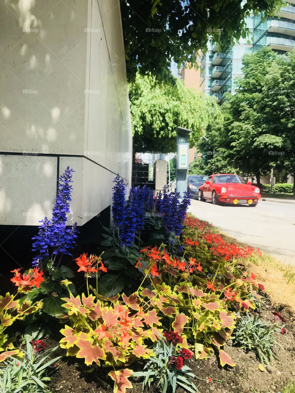 Charles st in Toronto 