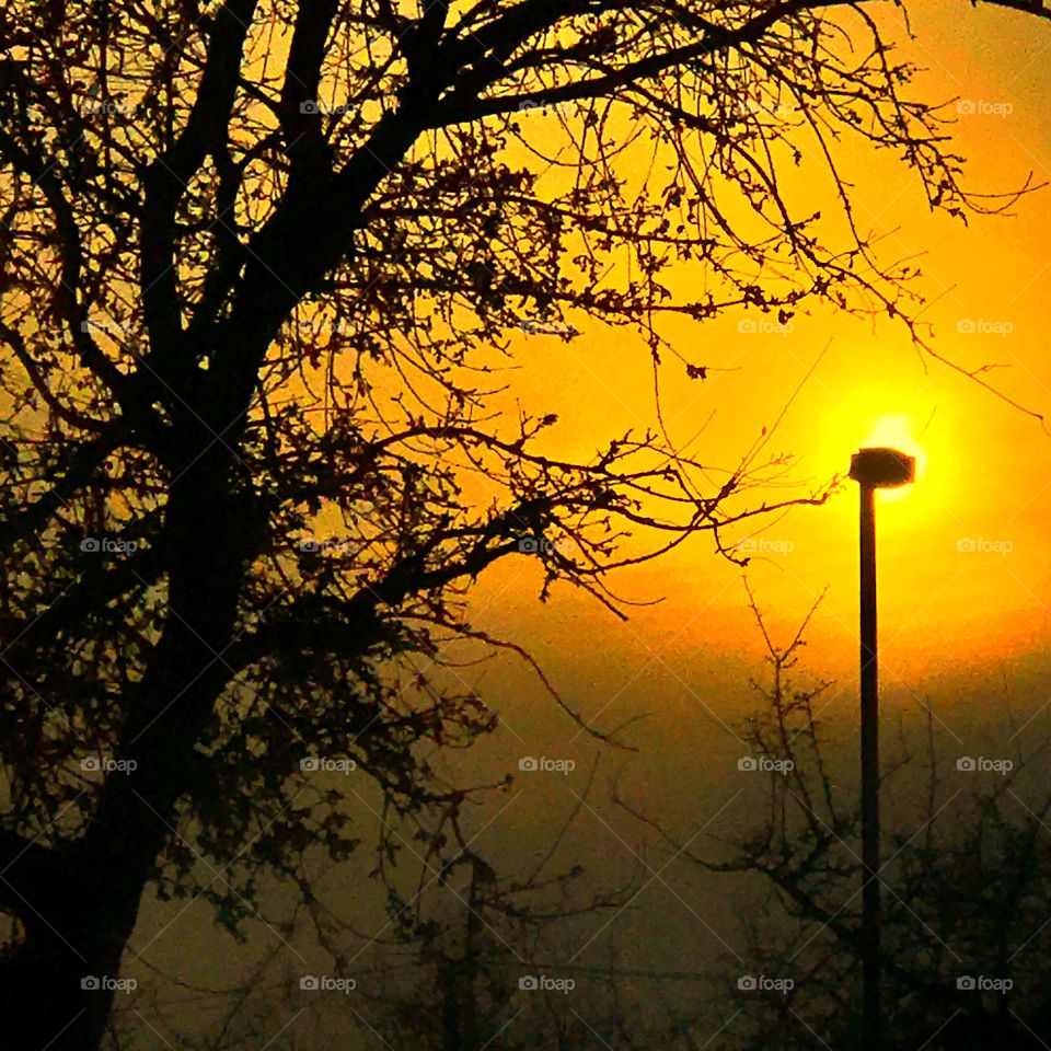 Sunset on a cloudy hazy day, light pole in front of the sun, winter leafless tree.