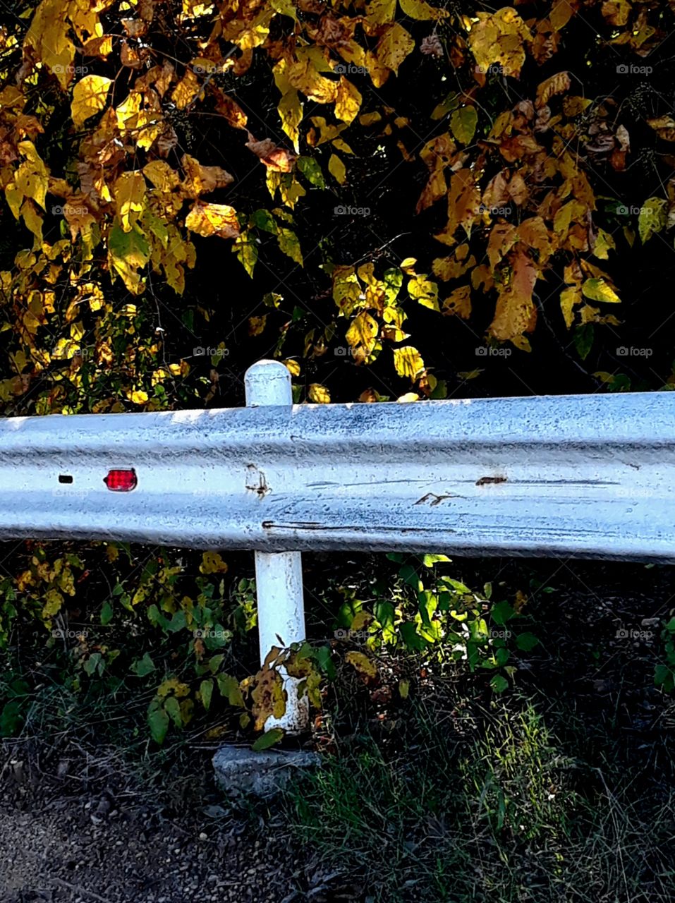 Bumped and Bruised Guardrail