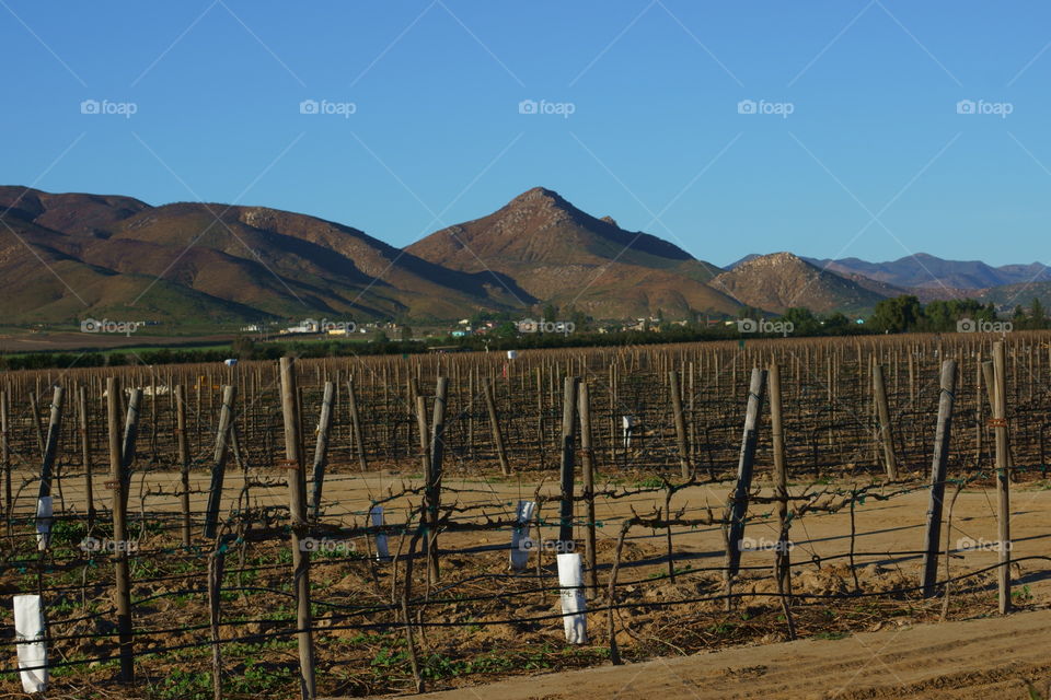 Waiting for the summer 