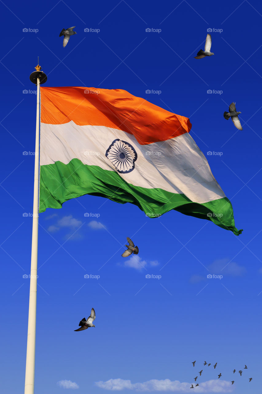 Indian flag with birds and blue sky in the background