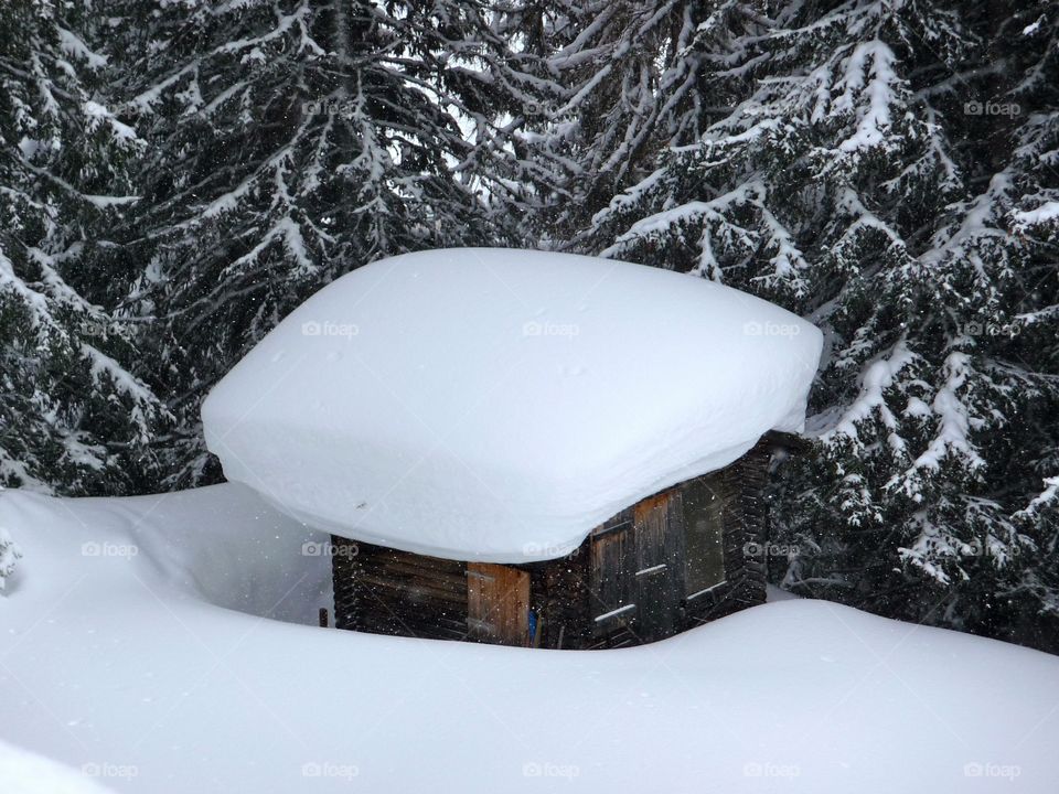 Very huge amount of snow on very small hut - seen on a winter walk in the Alps