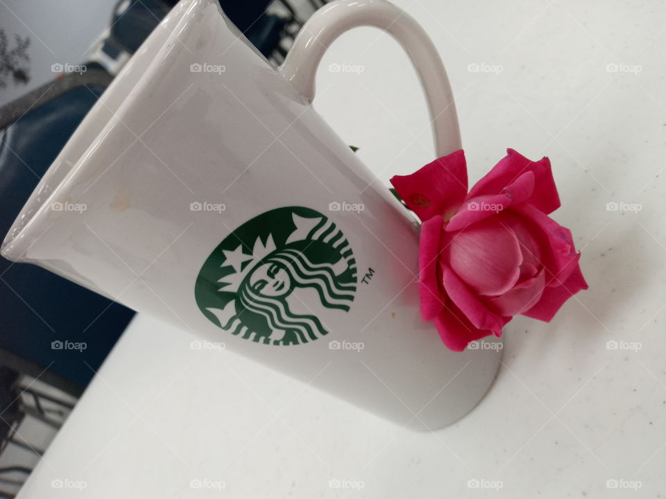 coffee and a rose Best way to wake up in the morning. Happy Thanksgiving everyone!