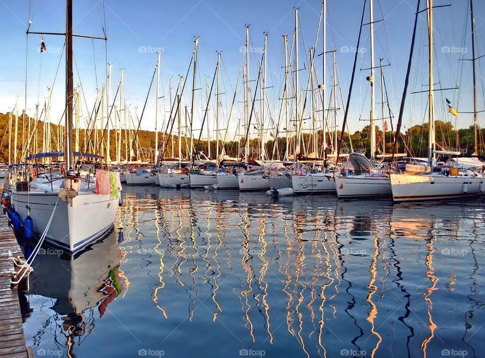 Island Hvar From to Croatia Palmižana