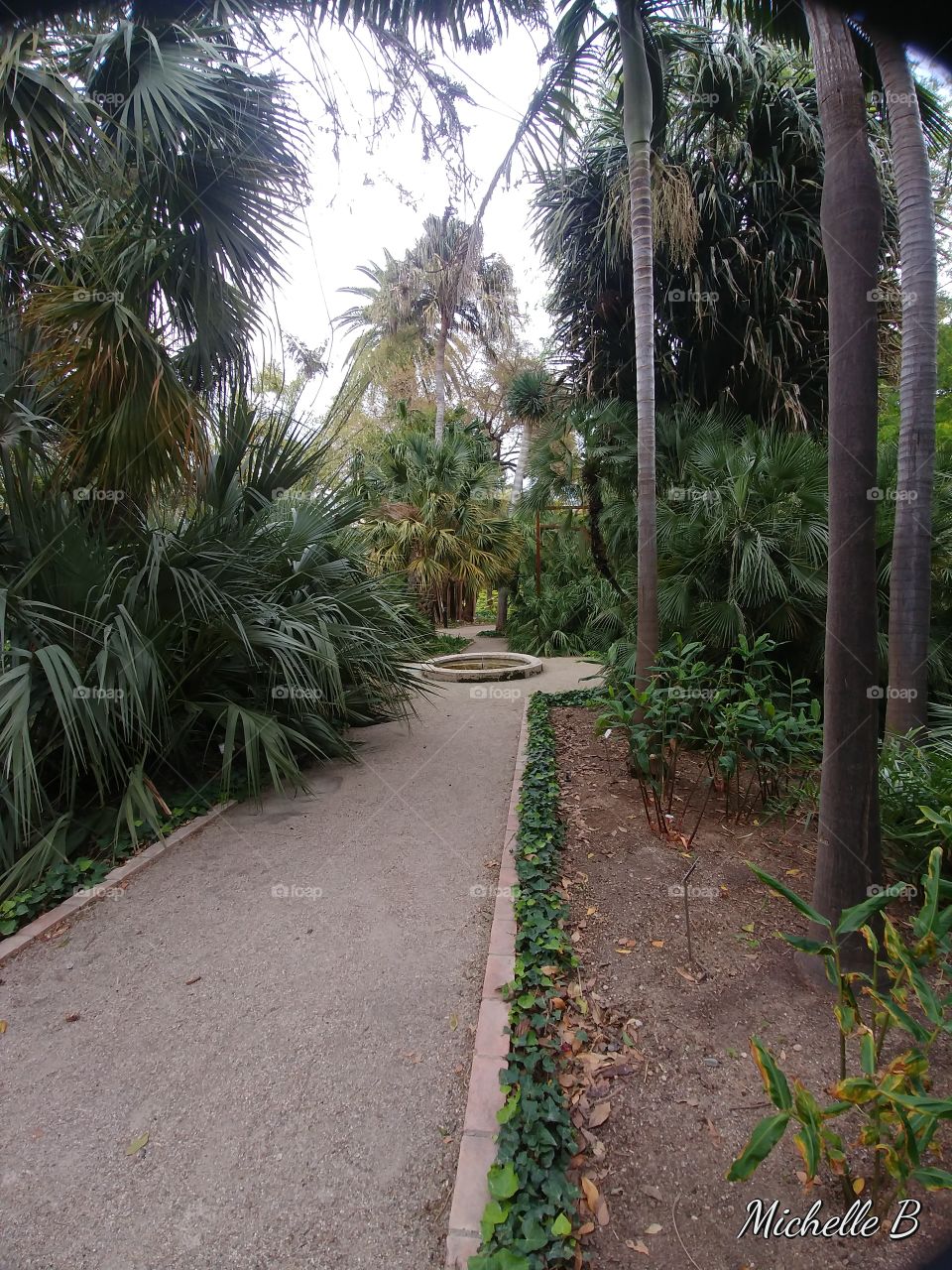 Valencia Botanical Garden 2019