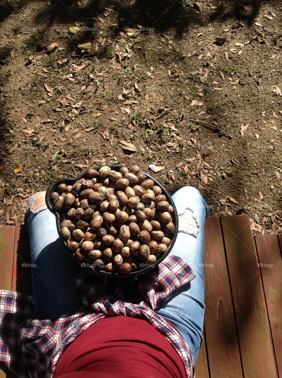 Bucket full of Pecans