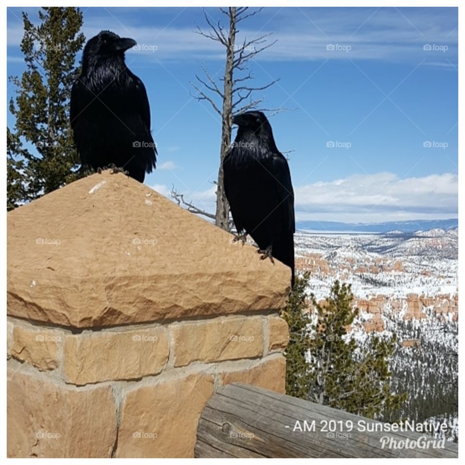 Sitting and enjoying the view.