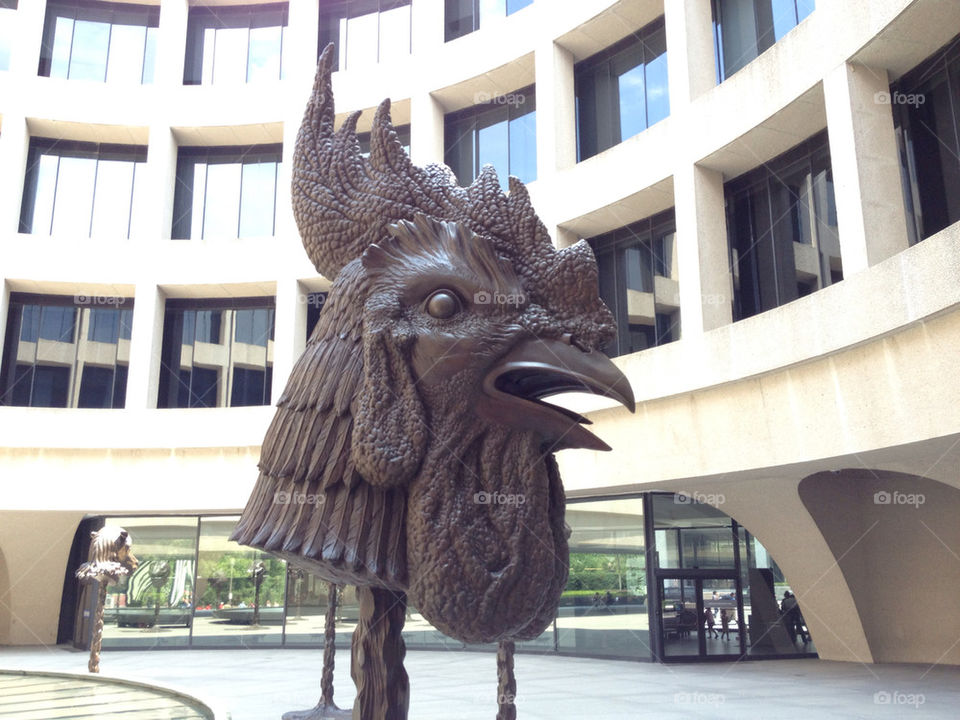 sculpture cock washington dc by chambreros