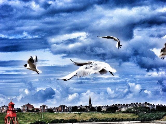In flight