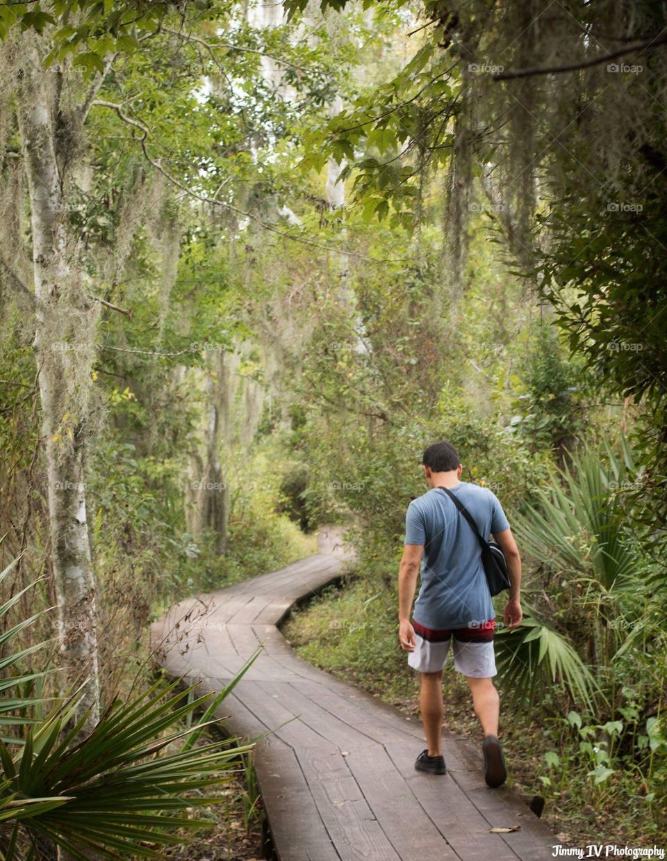 Hiking through the swamp. 