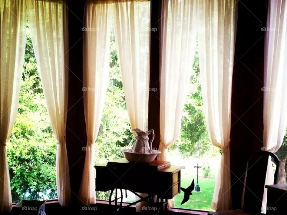 morning view