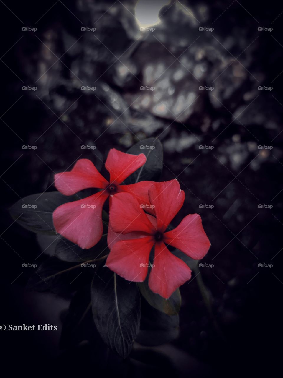 The Beauty of nature 😍.