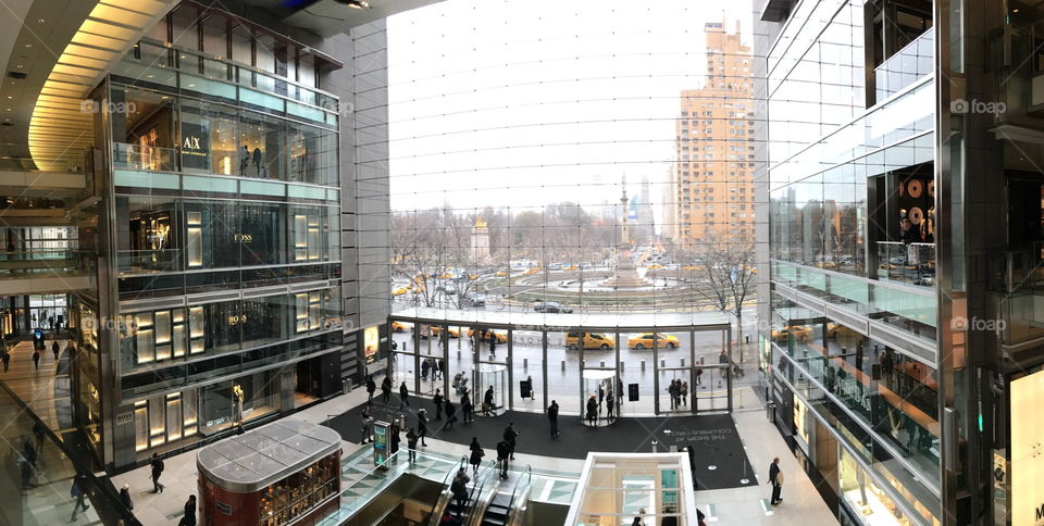 Busy Bees in New York City