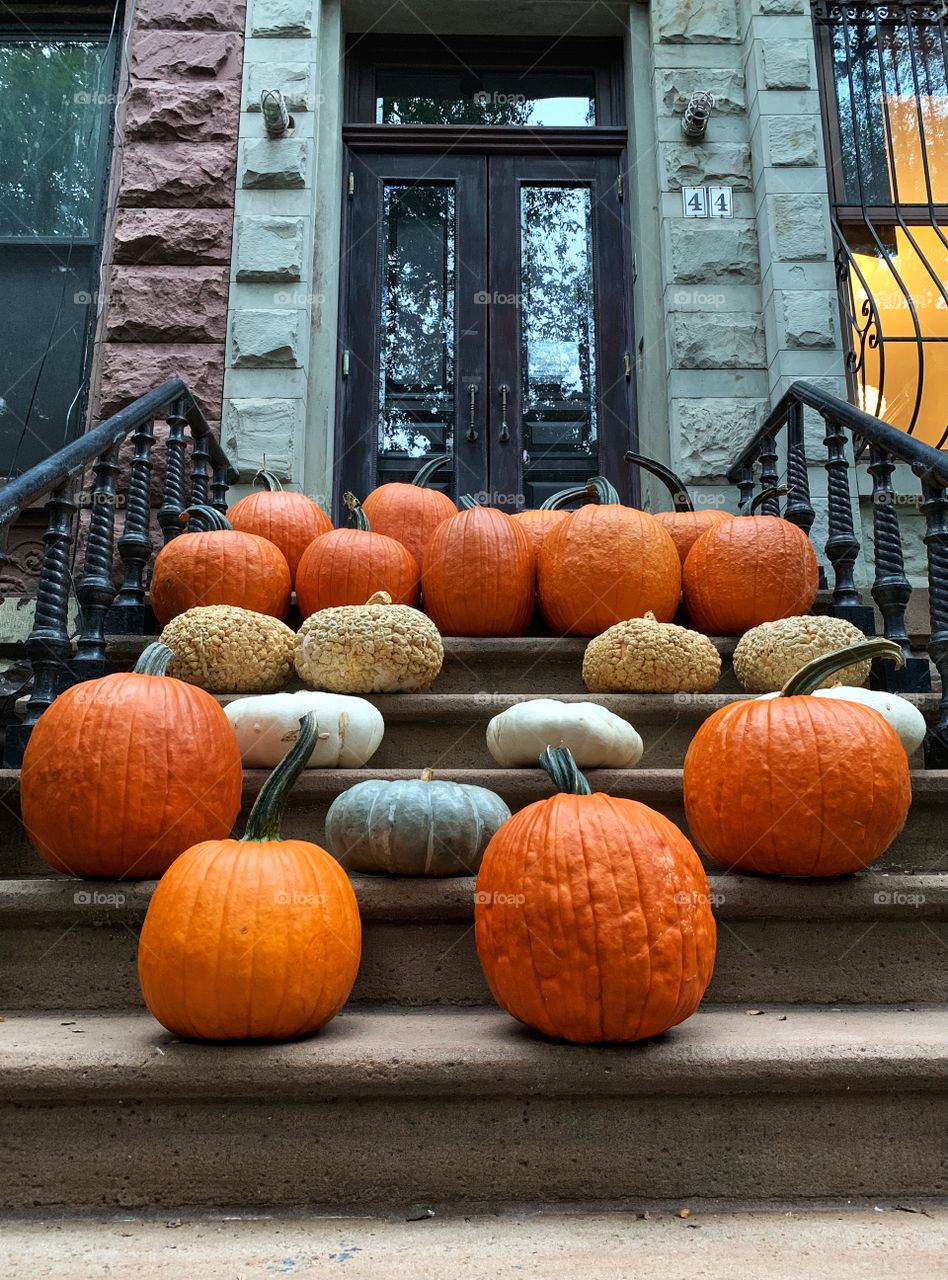 Field pumpkins, orange colors sitting on the stairs outside the door, and building. 