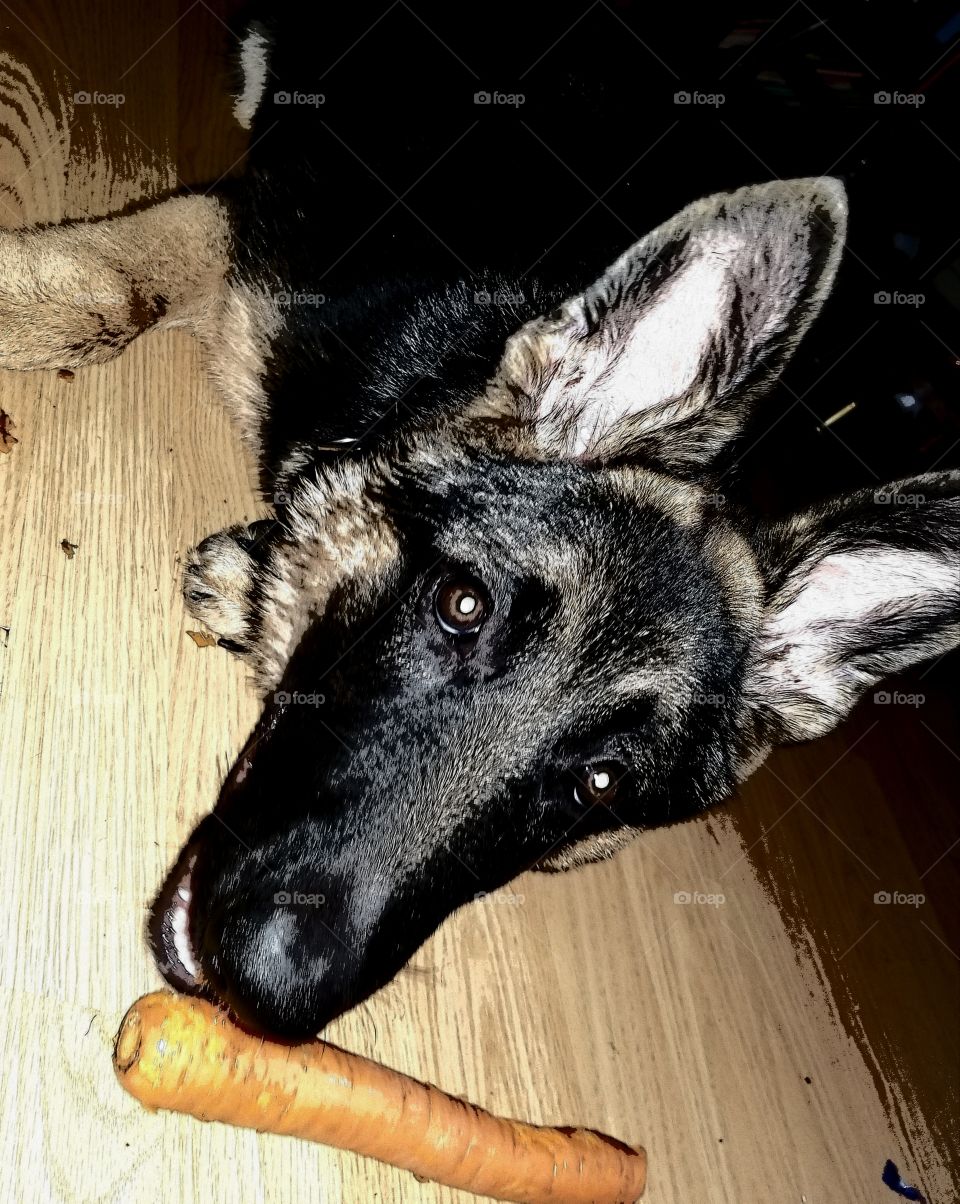 Eating my vegetables