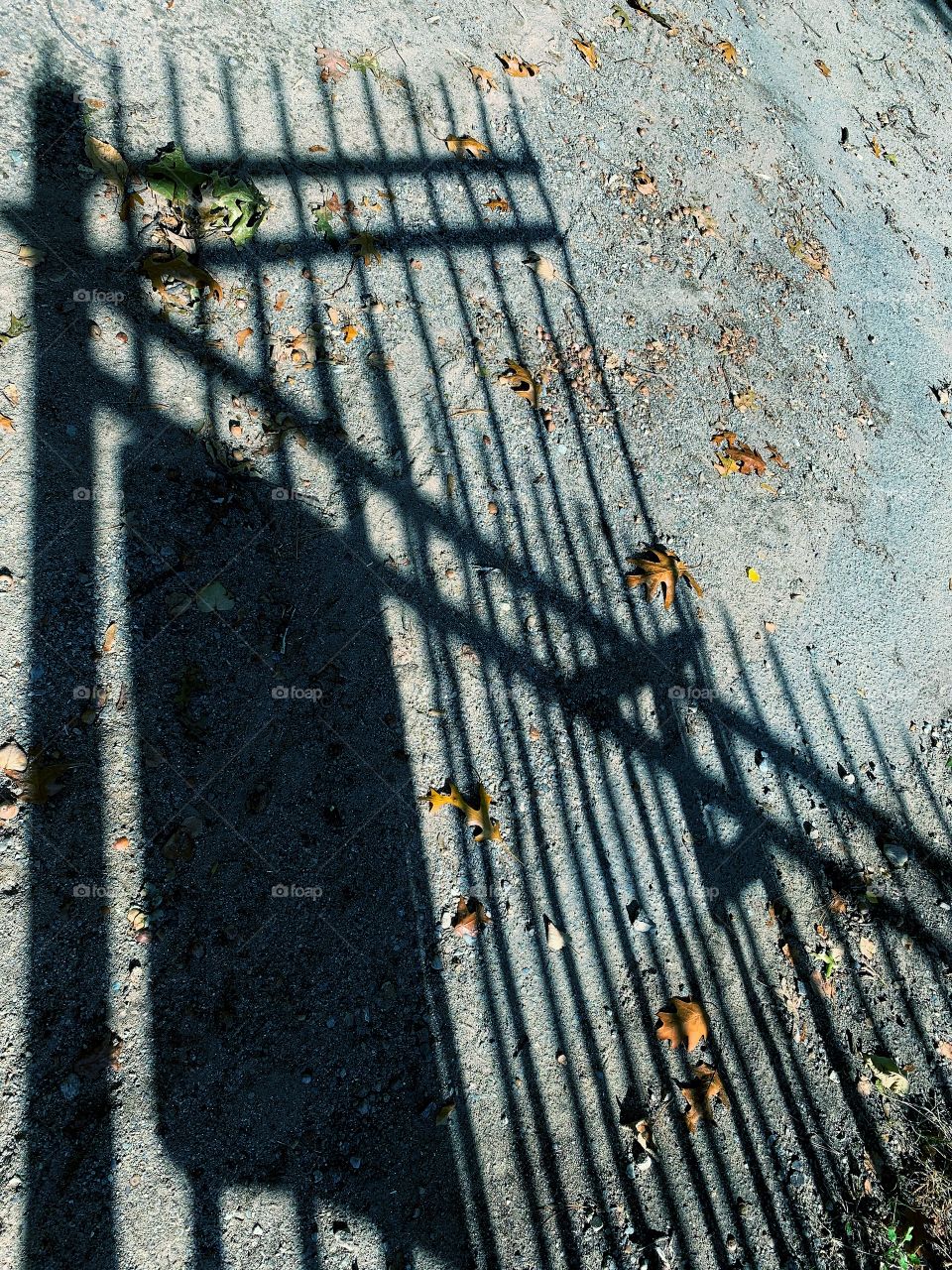 Shadow of a Fence 