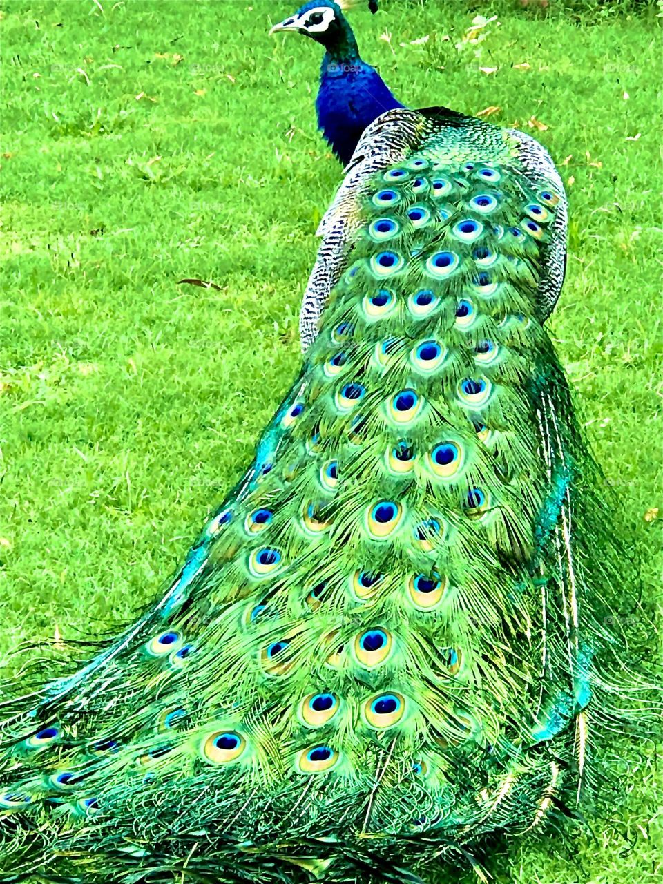 Upload the photo of the month July