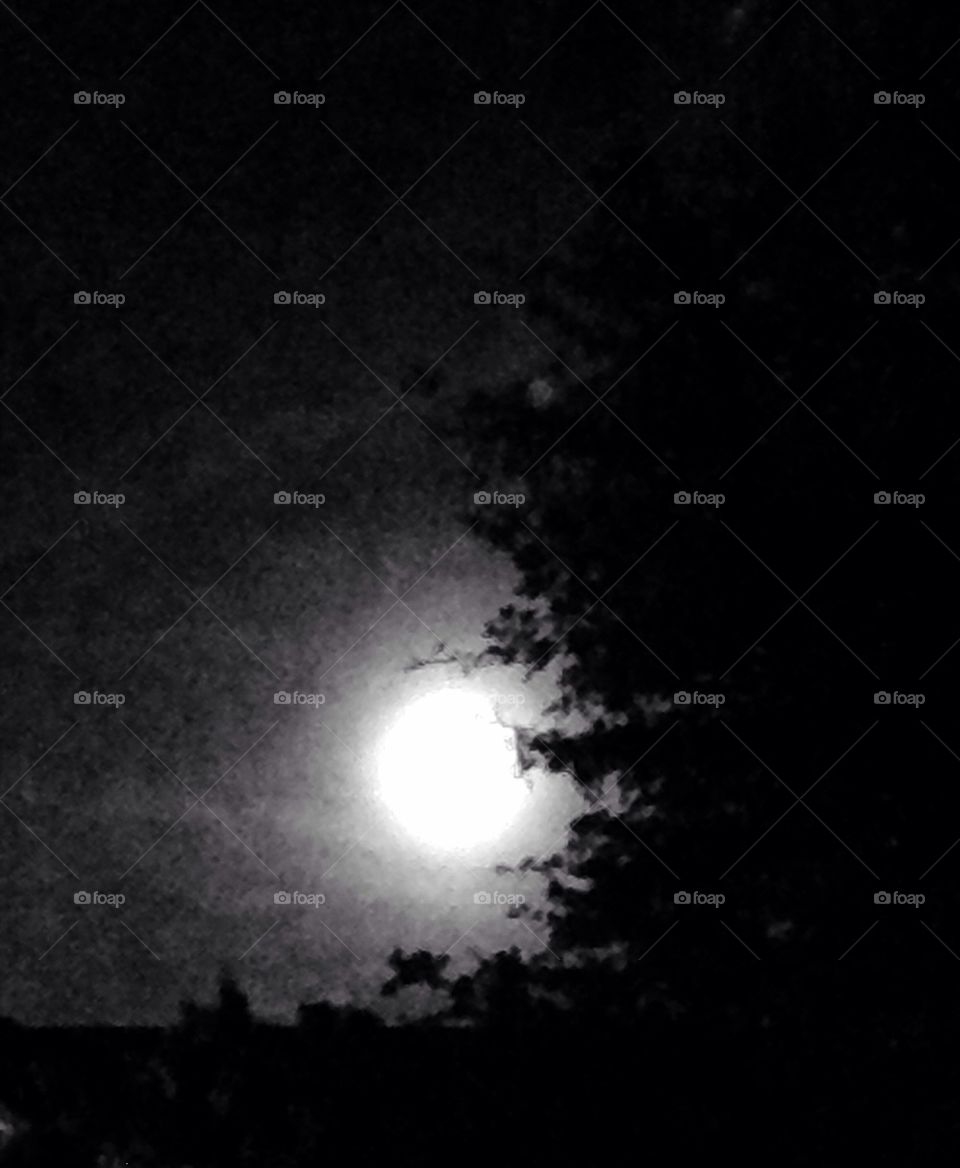 Full Moon Over Dallas
