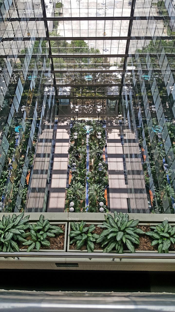 The atrium at work