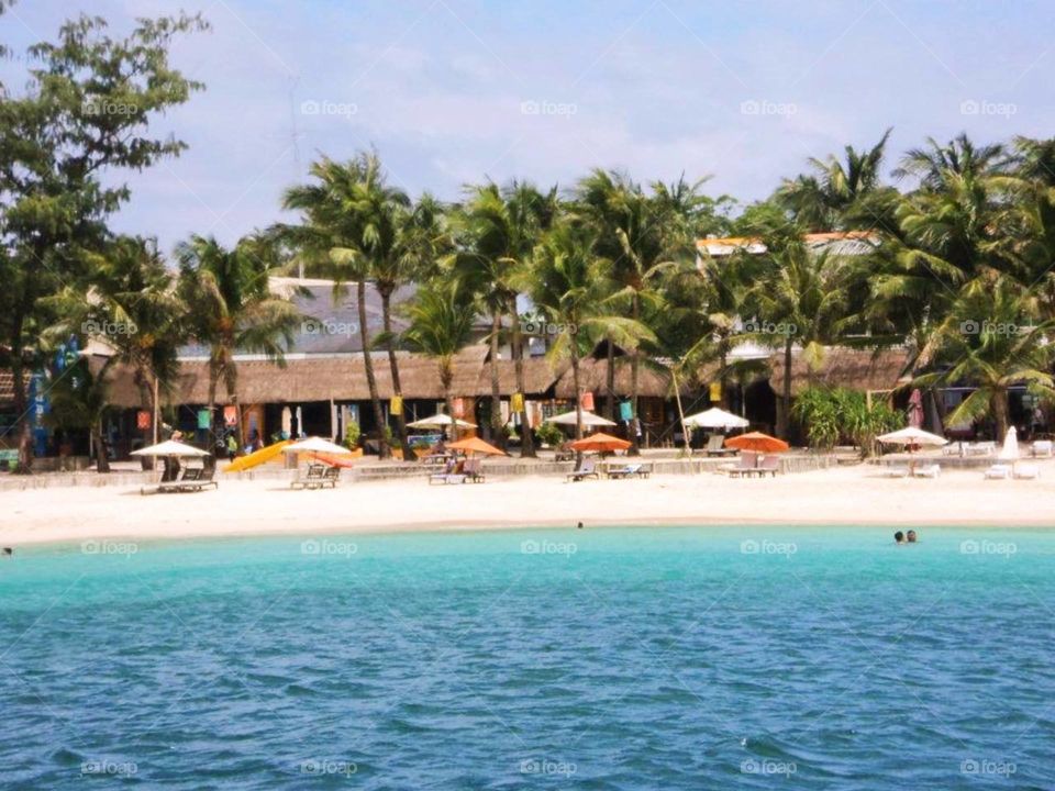 Tropical, Resort, Beach, Palm, Vacation