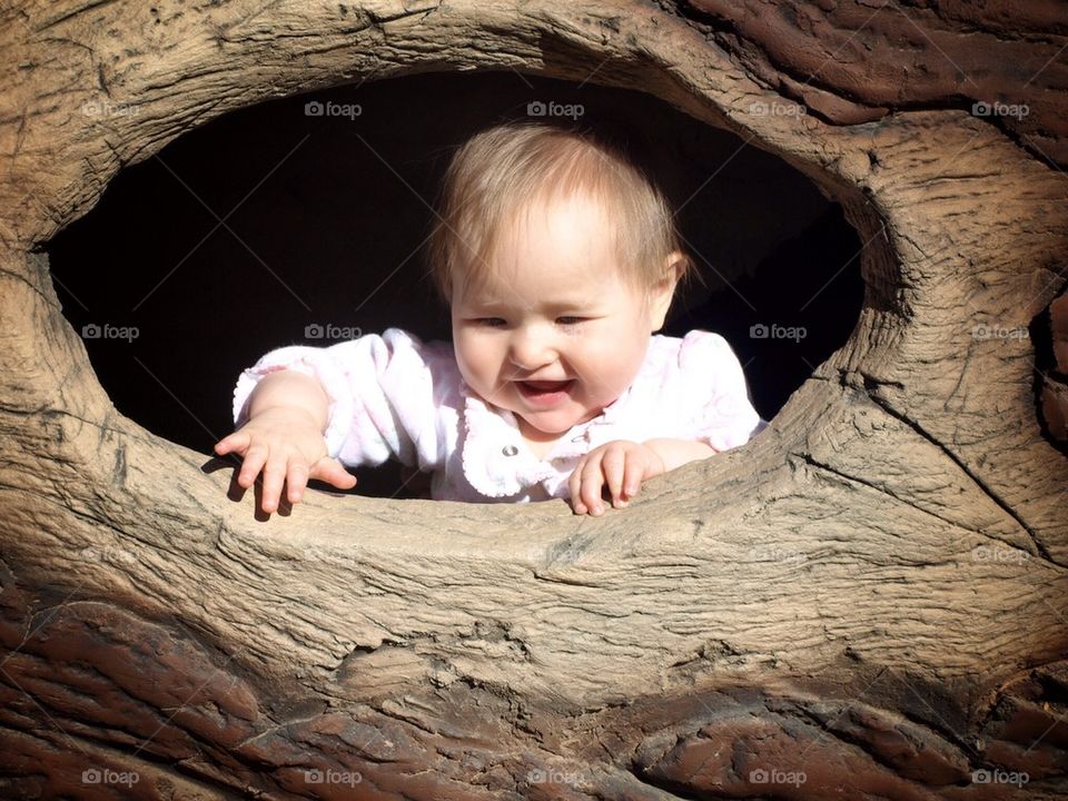 Through the hollow tree