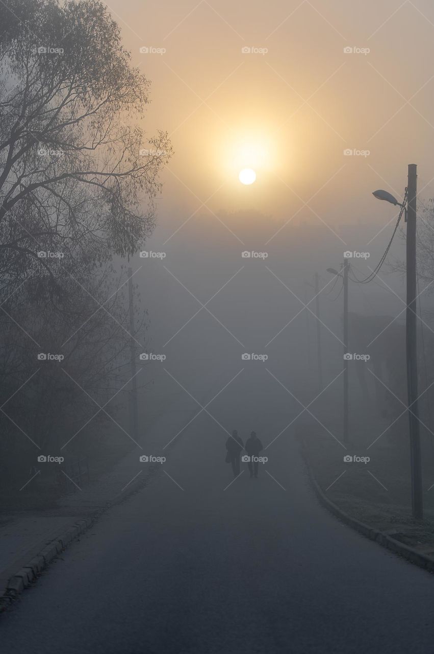 Two people silhouettes during misty autumn morning, street perspective in fog