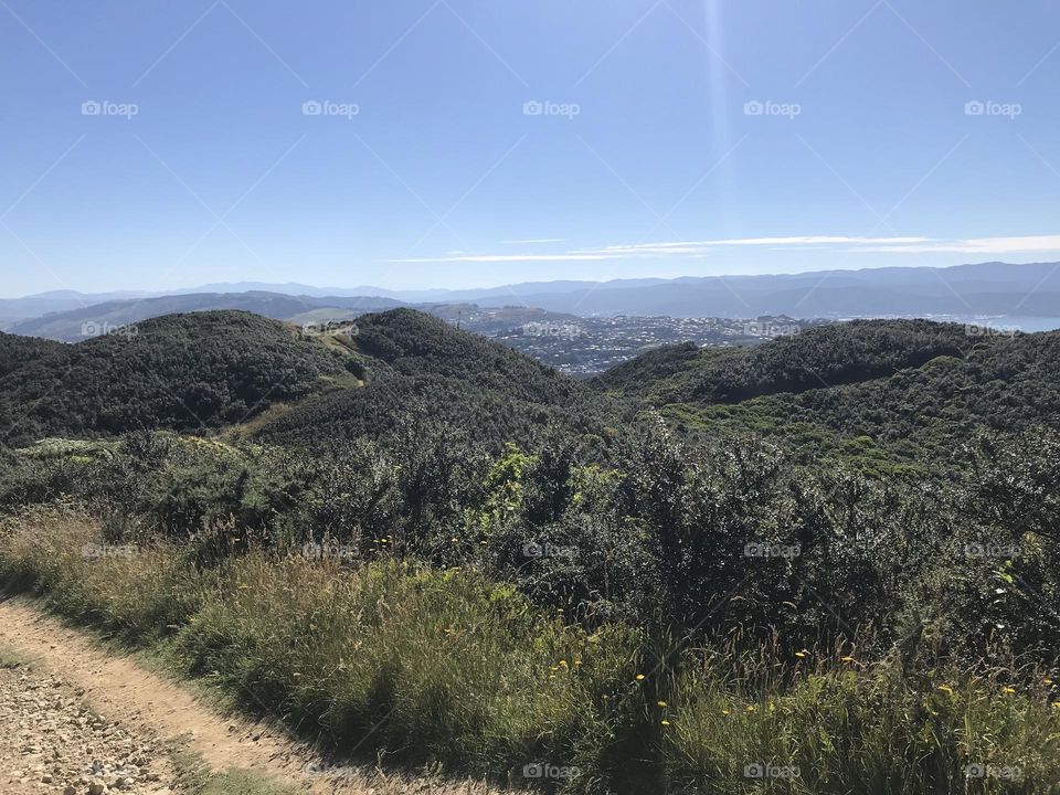 Hill top view of Wellington city, New Zealand on a clear bright sunny day. Taken from a trek path