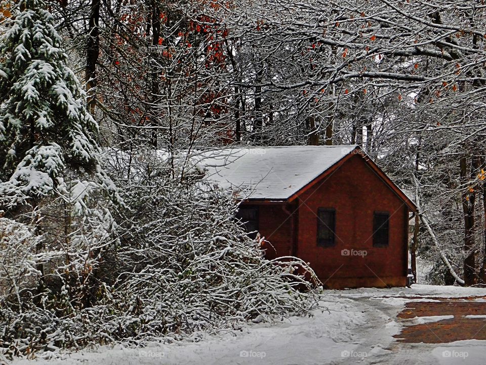 Cabin in the Snowy Woods