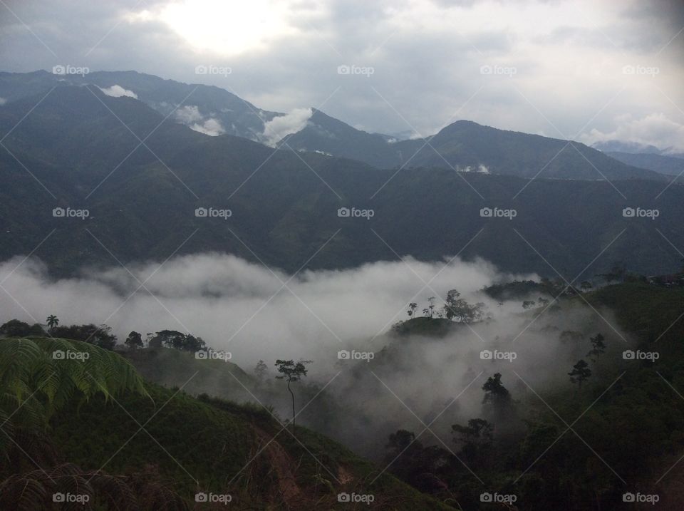 Desde la cima 