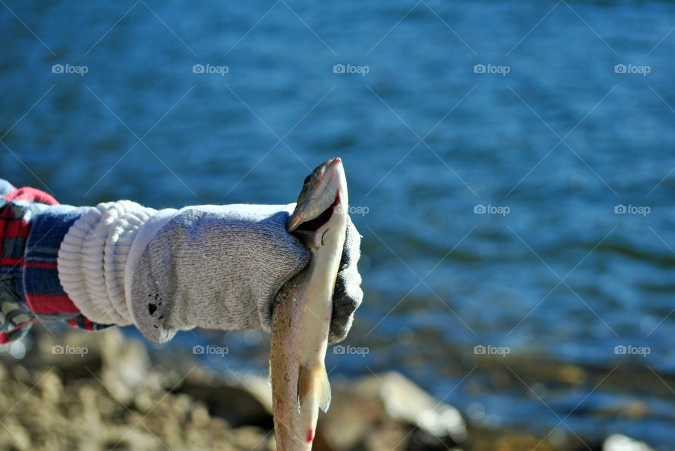 trout Fish in hand