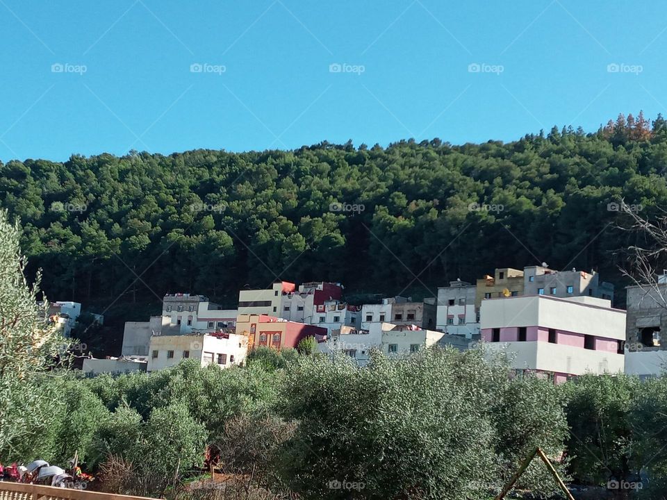 Population between the nature