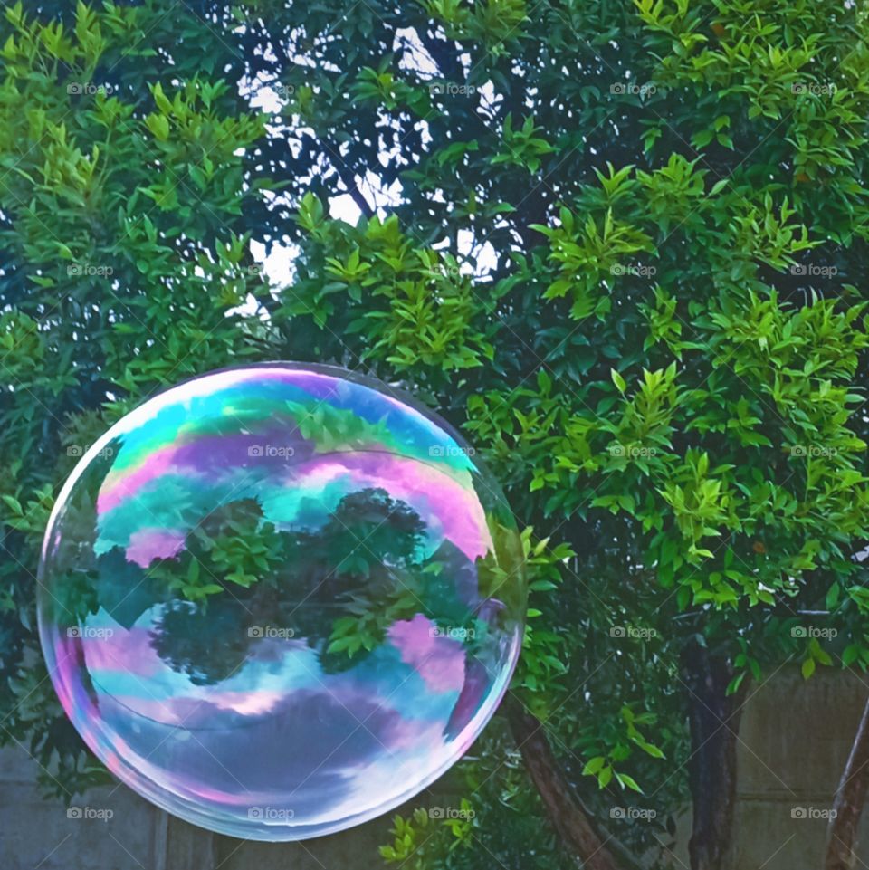 Bubble...