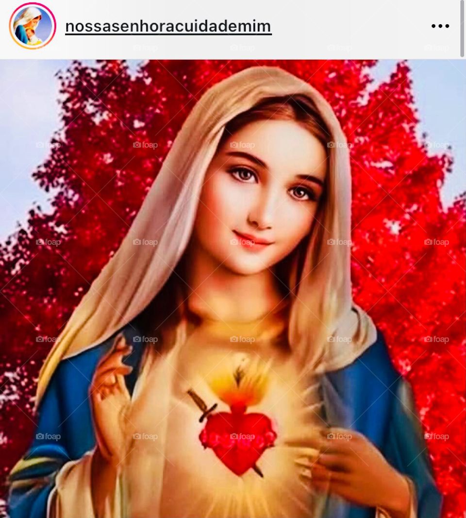 🙏 🇪🇸 Oh Maria, ruega por nosotros que recurrimos a ti.  Amén.  🇧🇷 Ó Maria, Nossa Senhora, rogai por nós que recorremos a vós. Amém. / 🇺🇸 O Mary, pray for us that we turn to you.  Amen. / 🇮🇹 O Madonna, prega per noi che ci rivolgiamo a te. Amen. 
